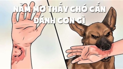 Mơ thấy dao đánh con gì? Giải mã giấc mơ thấy con dao