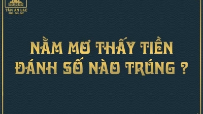 Ý nghĩa giấc mơ thấy cây như thế nào? Nên đánh số gì dễ trúng?