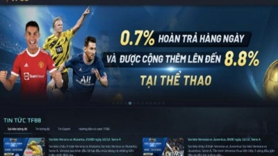 TF88 - Hoàn tiền lớn 17% cho cá cược thể thao mỗi ngày